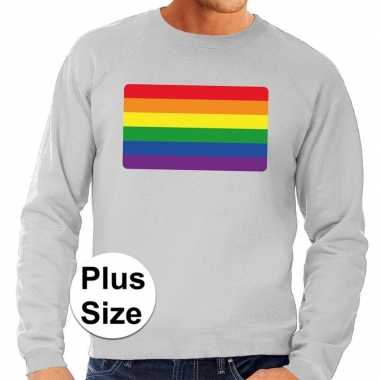 Grote maten regenboog vlag sweater grijs voor heren