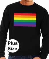 Grote maten gay pride regenboog vlag sweater zwart voor heren