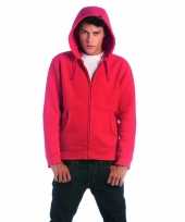 Grote maten heren sweater met capuchon 3xl