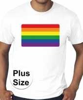 Grote maten regenboog vlag gay pride t-shirt wit heren